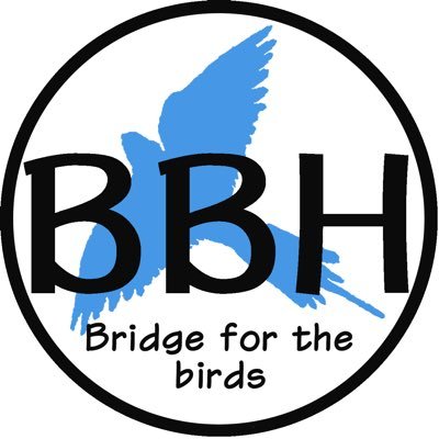 Bridge for the birds