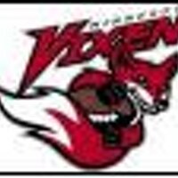 Minnesota Vixen (@minnesotavixen) 's Twitter Profile