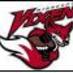 Minnesota Vixen (@minnesotavixen) Twitter profile photo