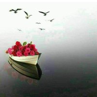 خطابة في الامارات للخليجي واليمني والسوري (@x7nsldunhhy6la9) Twitter profile photo