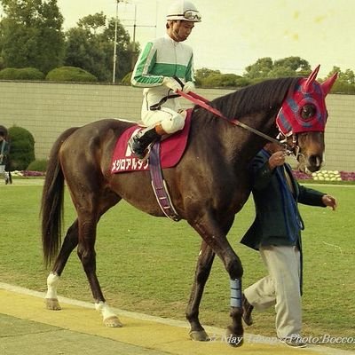 4VQrLqDxI8EMnYE's profile picture. メジロ軍団
ライアンからの～ブライト、ドーベル、
アルダンvsチヨノオーvsヤエノムテキ