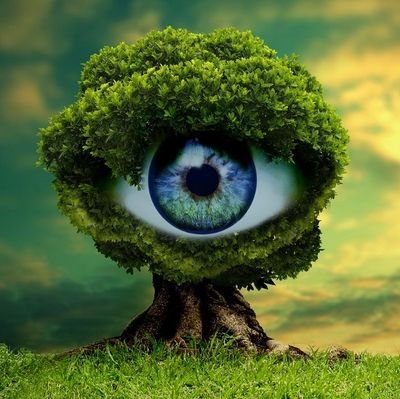 harmonious_king's profile picture. cryptomogul
