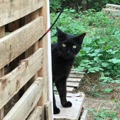 AlexLeezz66's profile picture. 连续创业者，还活着