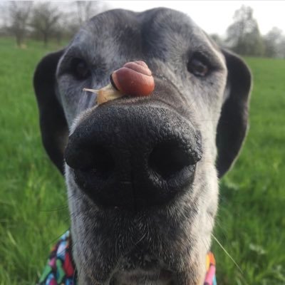 ur_painting's profile picture. don't you think that you need someone?