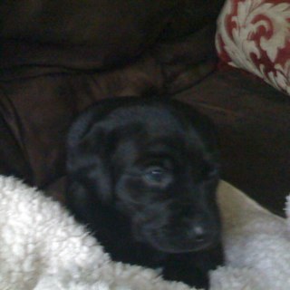 Jenbq1's profile picture. Mom, Coach, Hard working. If i teach my kids anything, let it be do it all and at 100%