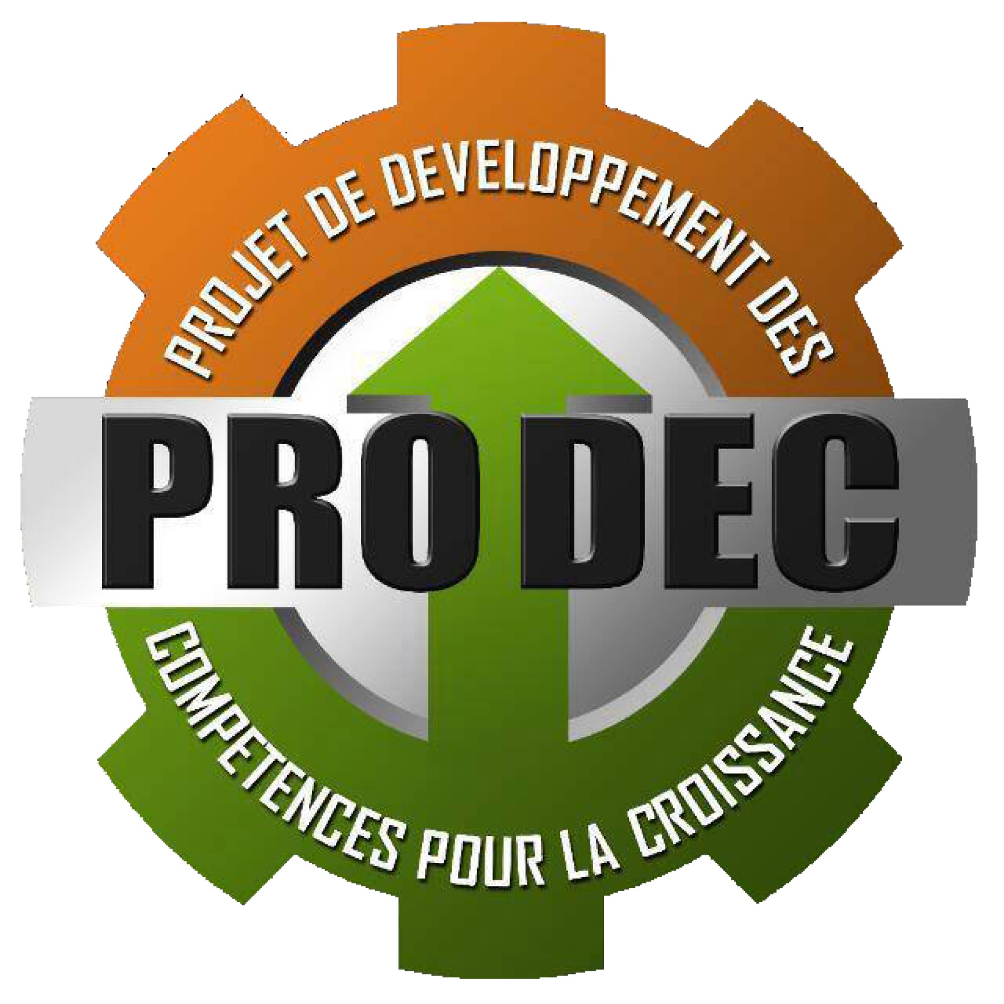 Le PRODEC a pour mission le renforcement efficace des compétences et d’apprentissage en vue de mieux répondre au marché de l’emploi des jeunes au Niger.