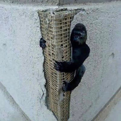 mpthomas1's profile picture. I remember when @ryancduff & I would talk about weather.