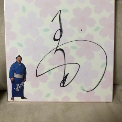 tama11161's profile picture. お相撲が大好きです。みんな大好きなのですが、群を抜いて群を抜いて玉鷲関が大好きです。2018.8.14初めて奥州での巡業に参加しました。その際とても親切にご対応頂いた貴ノ富士(貴公俊)さんもずっと応援しようと決め、色々ありましたが新たな道に進んだスダリオ剛さんも応援したいと思います。