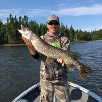 Jason Norman, CFA (@jnorm4) 's Twitter Profile