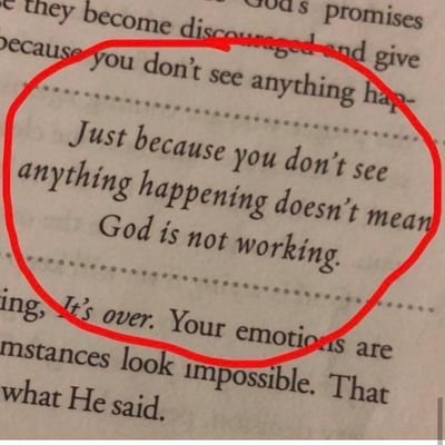 Vini10113854's profile picture. God's ChiLd