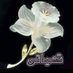 ابو حسن الجبورى (@kkztjs2yskywy3u) Twitter profile photo ابو حسن الجبورى (@kkztjs2yskywy3u) Twitter profile photo
