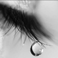 كلي أمل .. (@fatmah123497) 's Twitter Profile