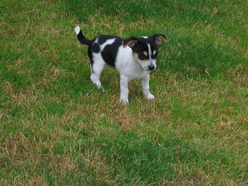 lwb9's profile picture. 