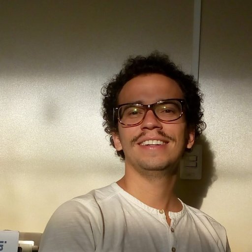 Professor - FGV-EPPG.
Bolsista pesquisador - Escola Nacional de Administração Pública (ENAP).
Administração pública e políticas públicas.