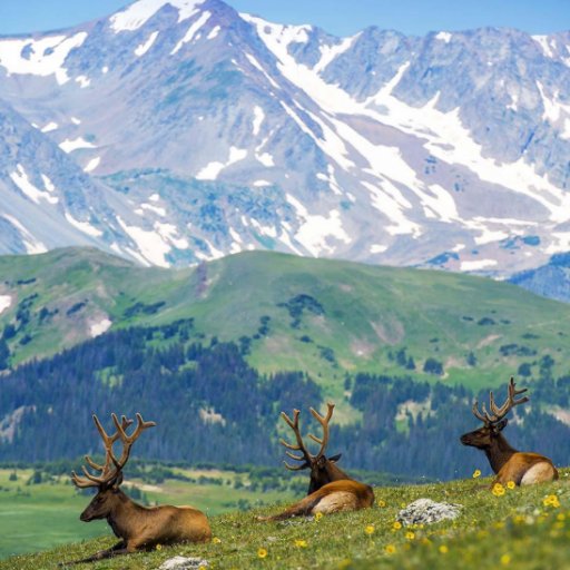 AgiDios's profile picture. 