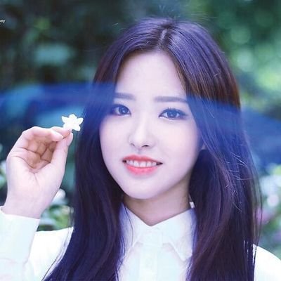 loona, twice, blackpink, red velvet, f(x)
