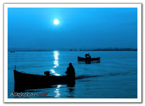 mooon88's profile picture. plz go to the site