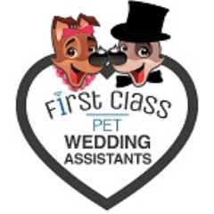 First Class Pet Wedding Assistants