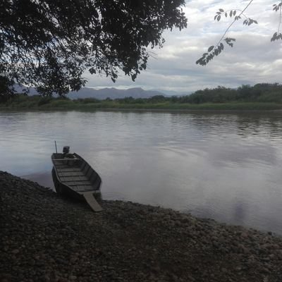 Egresada de Ingeniería Ambiental - Universidad de Nariño