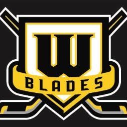 Official Twitter of the Worcester Blades of the CWHL. #WooBlades