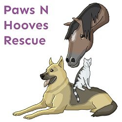 Paws N Hooves COLORADO