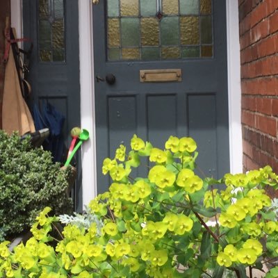 catkirk66's profile picture. 