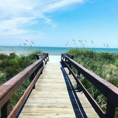 lisalf19's profile picture. 