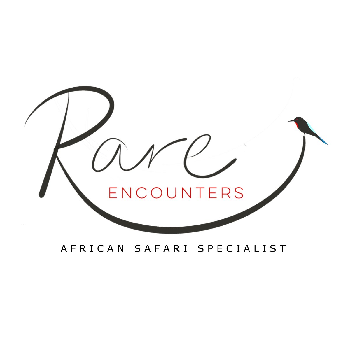 Rare Encounters - African safari specialist