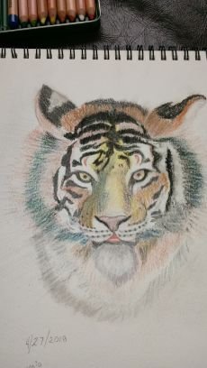 santanalourds's profile picture. Amante de la filosofia de Socrates, Diogenes 
No al neoliberalismo, al racismo,
la xenofofia, misógina.