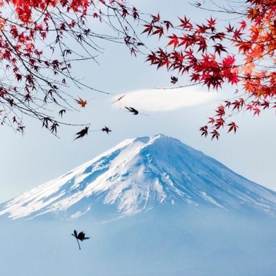 Passion for Japan. Grab pixel art from iconic Japanese scenes here 👉 https://t.co/CDcZ6zpgsK
