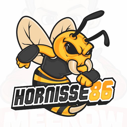 Livestreamer bei Twitch und Youtuber
Zocker aus Leidenschaft
Businessemail: Hornisse86@raftmgt.com