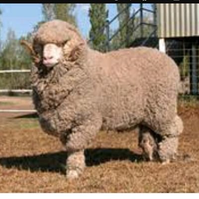 ebruu2510's profile picture. hem ağlarım hem gülerim ☁️