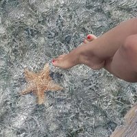 Euuu (@euuuyo) 's Twitter Profile