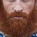 RedBeard (@SecRedBeard) Twitter profile photo