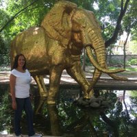 Sandra Lucena (@sandrateresaluc) 's Twitter Profile