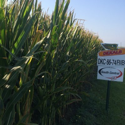 KopplinSeth's profile picture. Crop Specialist, farmer and Outdoorsman