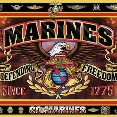 Retired USMC, Love my country my president and lovely first real lady!  Support the BLUE  & all veterans!!!