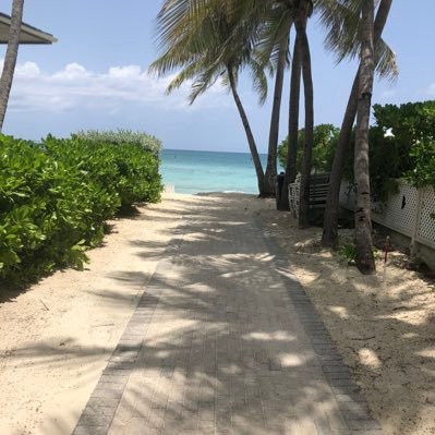 MSteveKJL's profile picture. 