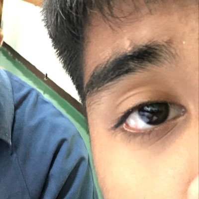 pcrss2's profile picture. 🐷🐻😞