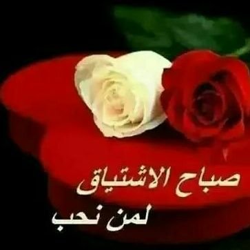 rk0svzo021KCp4p's profile picture. 