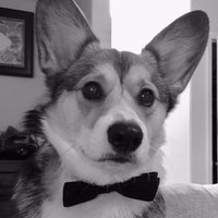 Kipper Sun (@mccregulator06) 's Twitter Profile