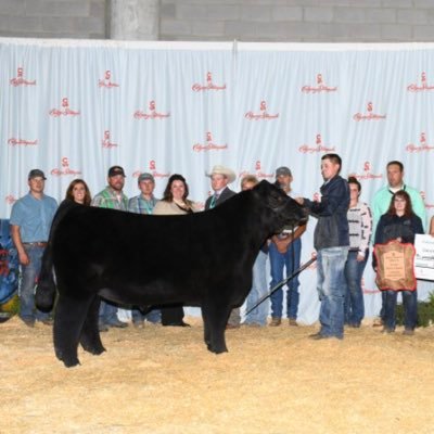 CodyrayLafrentz's profile picture. K- State