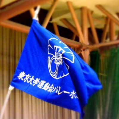 ut_volleyboys's profile picture. 