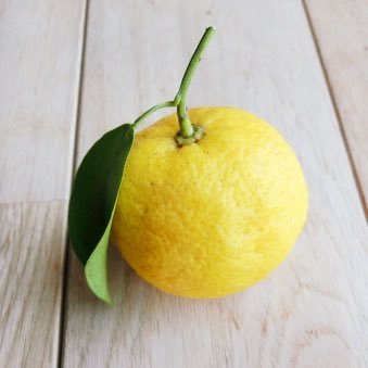 WQ5bi5JsfcH6Yqs's profile picture. #高2 #SJK #勉強垢 #勉強垢さんと繋がりたい #漢検二級 #受験生 #塾無し #宅勉 #独学