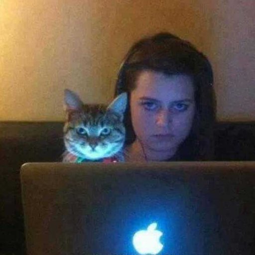 stranshertins12's profile picture. Camila Cabello 🧸