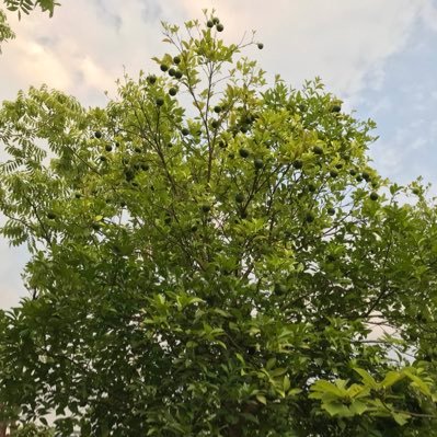 helloworld668's profile picture. IT 民工，职业搬砖20年。