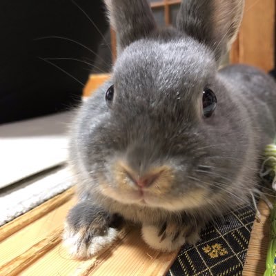 mi_o_1220's profile picture. 