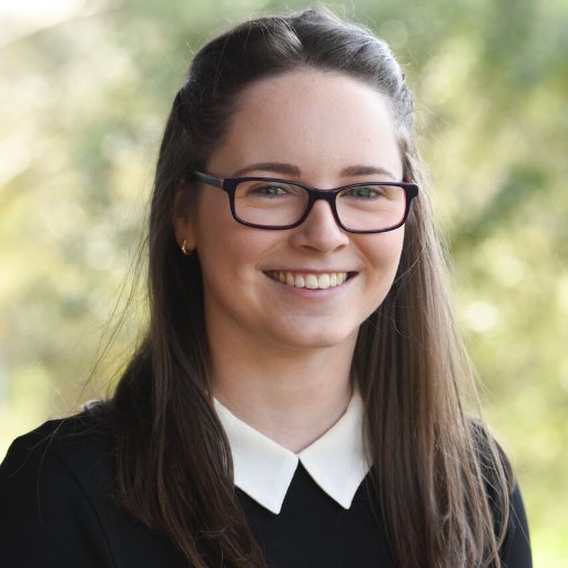 Academic researcher interested in NGO's policy influence and addressing VAW.