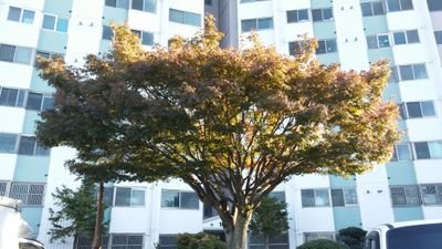 Moon29574454's profile picture. 