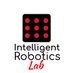 Intelligent Robotics Lab URJC (@IntellRobotLabs) Twitter profile photo